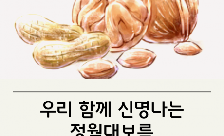 2017년 살맛나는 양천마을 명절행사 우리 함께 신명나는 정월대보름