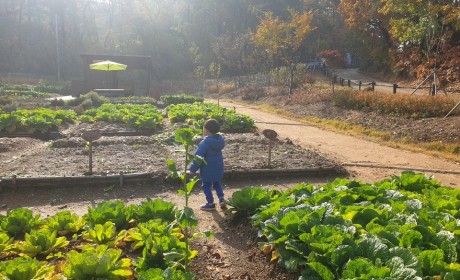 아이가 뛰노는 모습