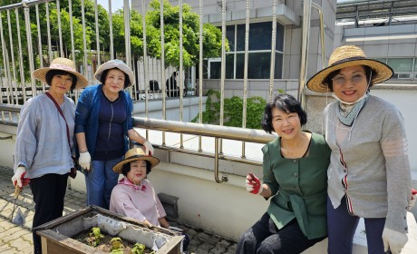 잡초 제거 중인 목동 자생봉사단 활동 모습