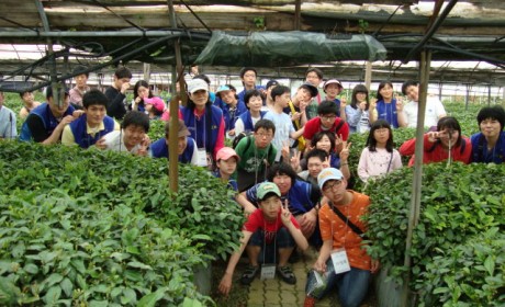 5월엔 푸르른 녹차 농장에 다녀왔습니다~ 모두모두 즐겁게:)